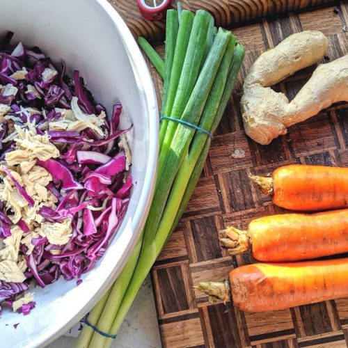 healthy chinese chicken salad recipe with chicken breast carrots red cabbage green onions and ginger in the kitchen.