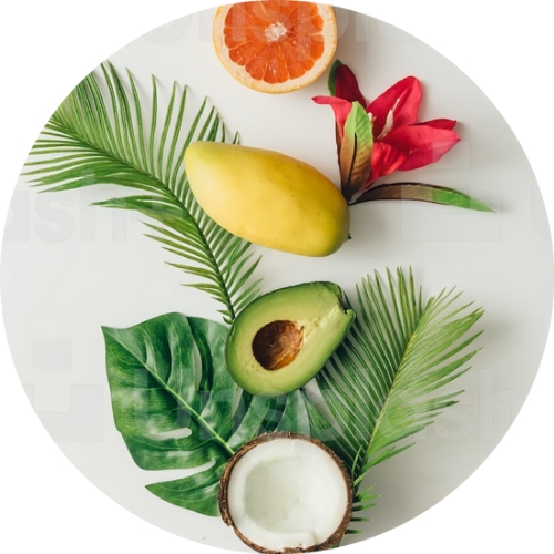 modern tropical fruits mango papaya coconut and avocado