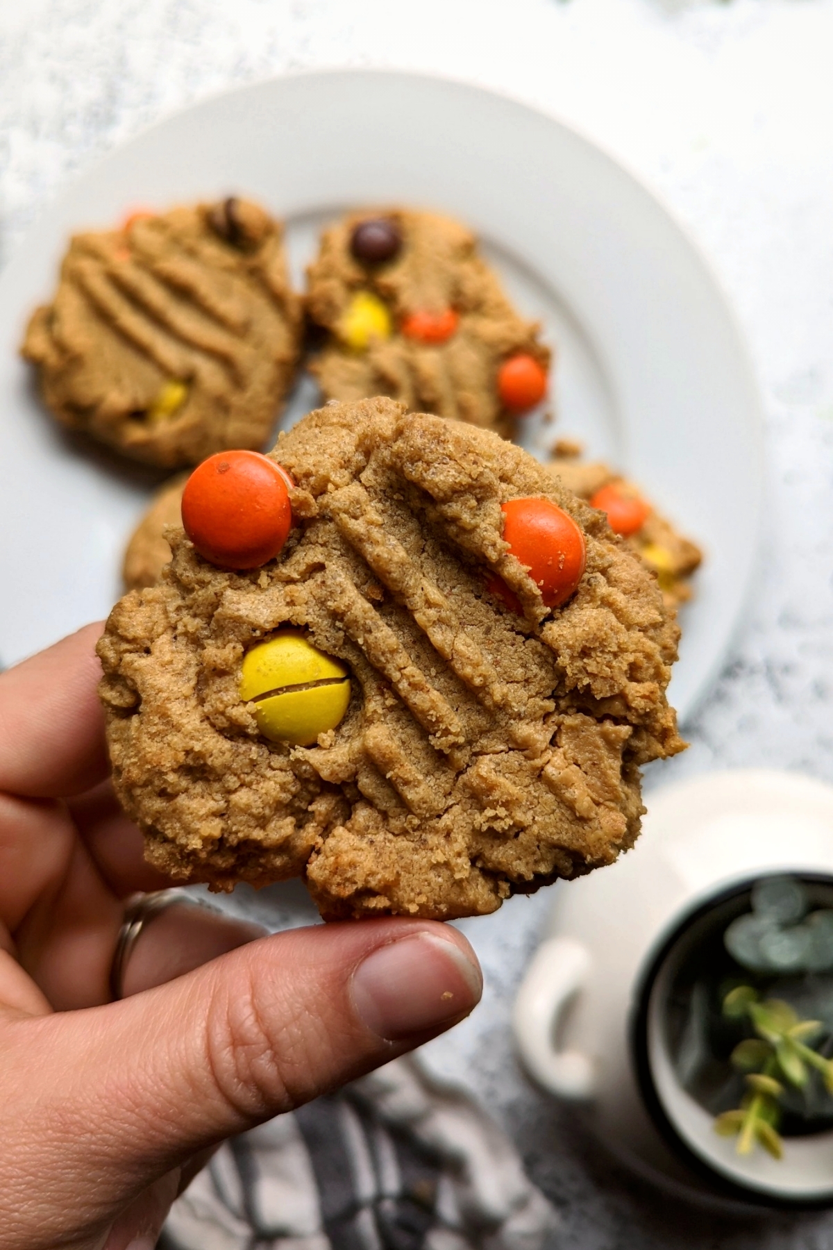 reese's pieces cookie recipe the best peanut butter cookies with reeses candy and peanut butter