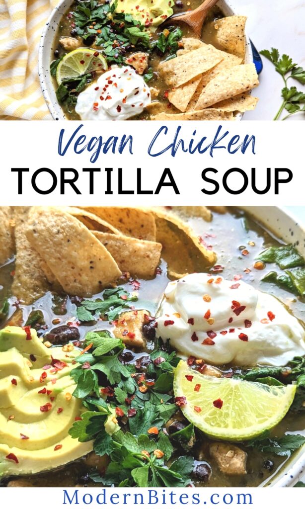 vegan chicken tortilla soup vegetarian meatless mexican soup recipes with beans and bell peppers in a blender