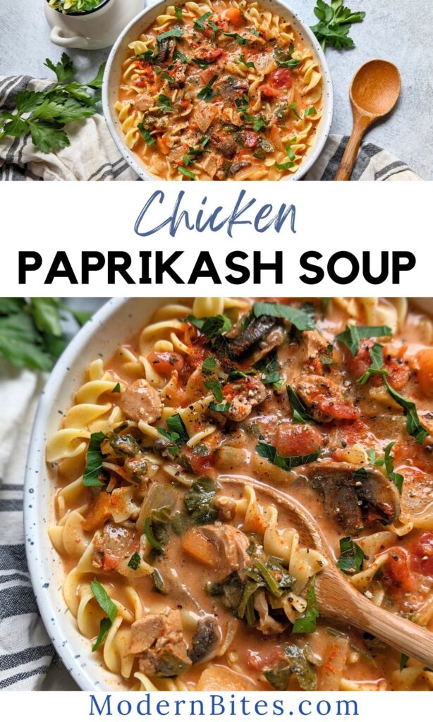 chicken paprikash soup with hungarian sweet and spicy paprika soup with cooked egg noodles and a creamy broth