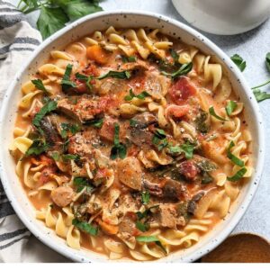 chicken paprikash soup recipe with egg noodles and sweet paprika