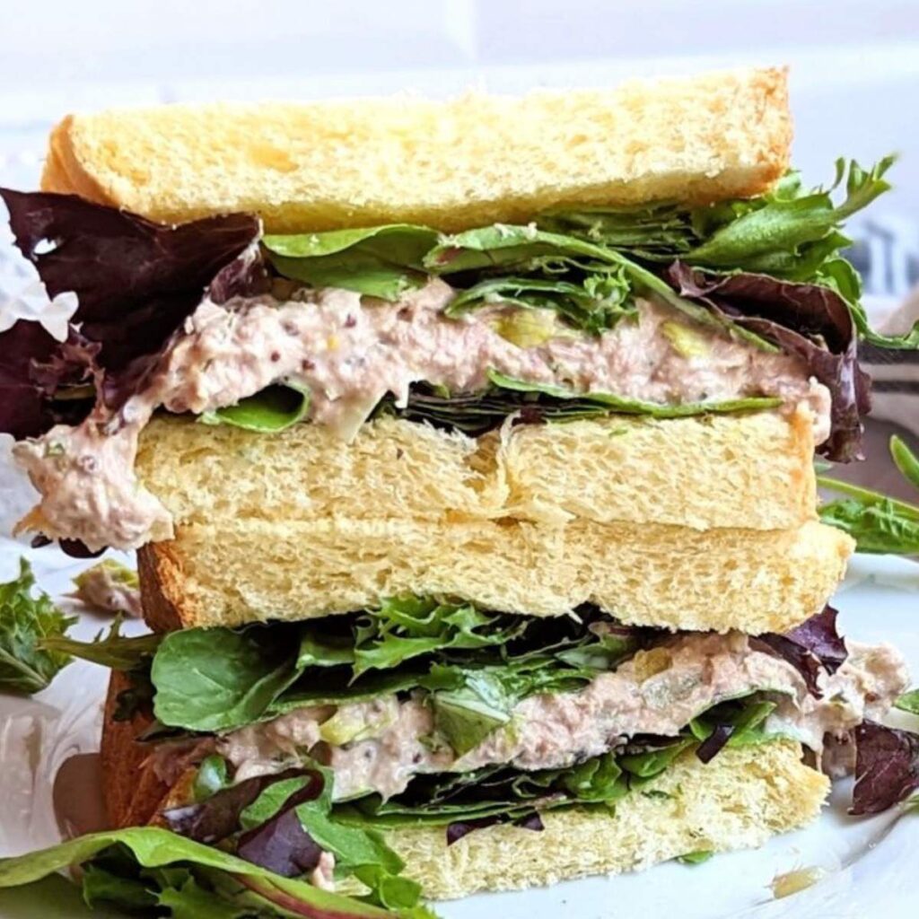 high protein tuna salad no mayo healthy low fat tuna salad recipes easy canned tuna lunch ideas gluten free