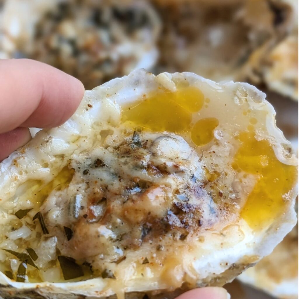 cheese and garlic baked oysters in a half shell with breadcrumbs and parmesan cheese