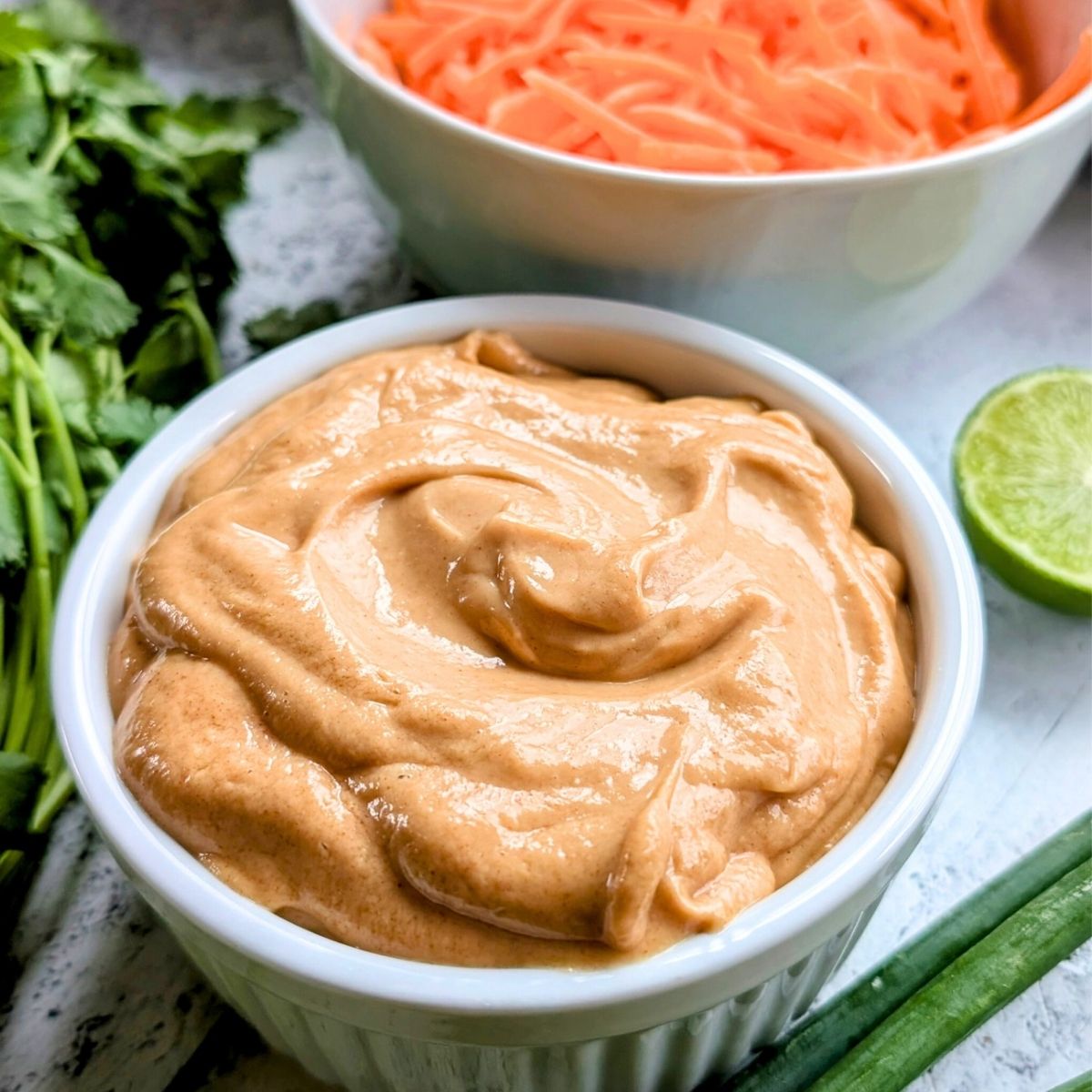 Easy Blender Peanut Sauce Recipe