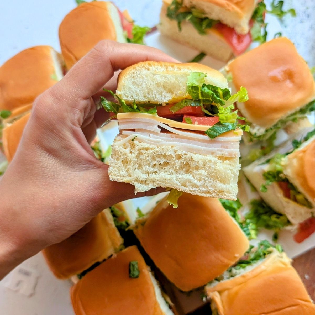 cold ham and cheese camping sliders with lettuce, tomatoes, and swiss cheese sliced on Hawaiian rolls